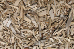 biomass boilers Pilrig